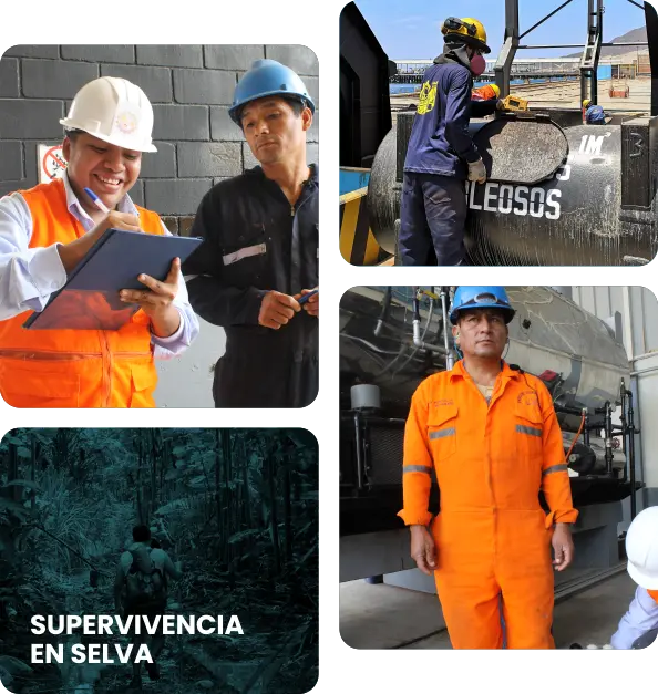 servicios imagen CACP